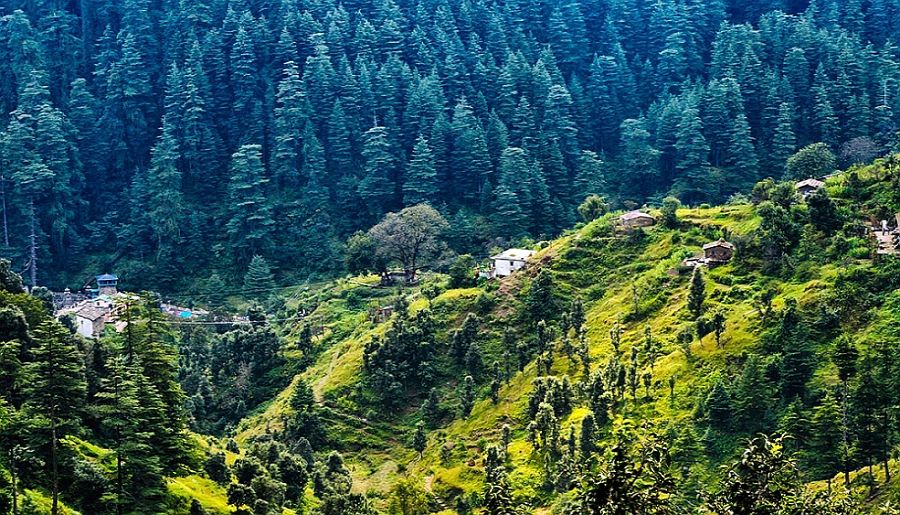Ranikhet