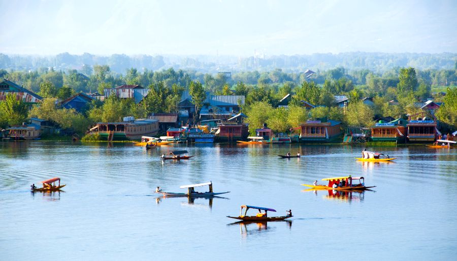 Kashmir